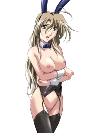 Do You Like Horny Bunnies? 2 (decensored)