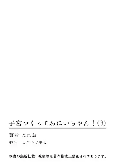 Shikyuu Tsukutte Onii-chan!3