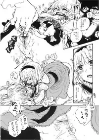 (C74) [Shoujo Zukin (Hatomugi Munmun)] Marecollect (Touhou Project)