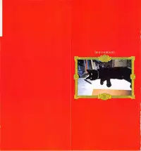 [Aranaga Hikaru] Archives