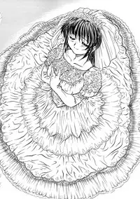 Comic Hime Dorobou 2008-05