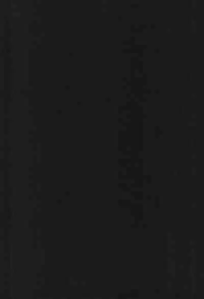 Osakabitch Soushuuhen