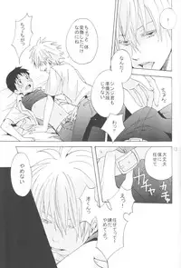 (C83) [Praline (Suzunari Natsuru)] Nr.9 (Neon Genesis Evangelion)