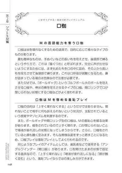 いますぐデキる 図説SMプレイマニュアル