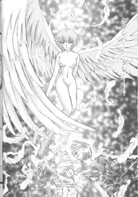 Ayanami Rei-shiki; Neon Genesis Rei-II