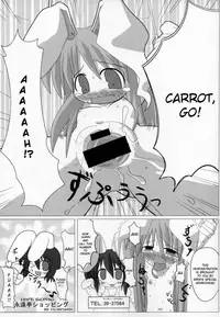 [Pixel Phantom (Kamiya Yuu)] Udonge no Kusuri B Zazai (Touhou Project) [English]