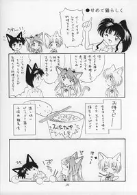 (C51) [Nekomimi Sorcery (Masamineko)] Ebaneko (Neon Genesis Evangelion)
