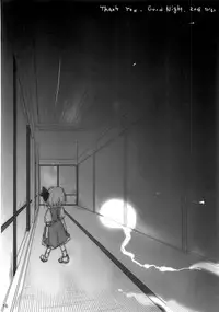 (C75) [Fuckin Toyzaras (Asano Shimon)] THE SHEMONS (Touhou Project)