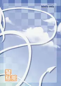 (SC41) [Cotojikan (Cotoji)] Kimi to Tenkuu no naka (Dragon Quest V)