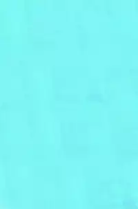 (C78) [Aichiko (ubizo)] "Shiroaki" Taizen (Lucky Star)