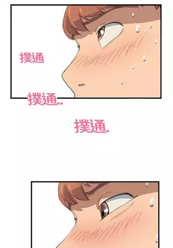 ?? Chinese