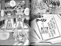 [Appleton] Cherry Town