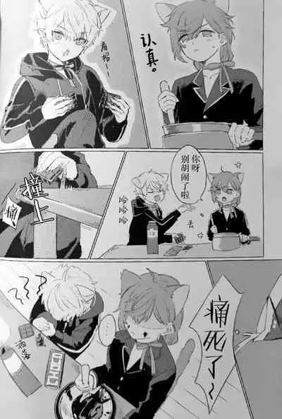 Neko no Iru Seikatsu | 有猫的生活