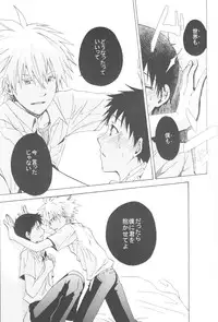 (C83) [Praline (Suzunari Natsuru)] Nr.9 (Neon Genesis Evangelion)