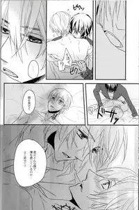 [lucciola (Mikawa Mimi)] The Beasts Party (Vampire Knight)