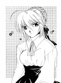 (Mimiket 10) [RED DATA BOOK (Amano Ryuuki)] Albireo (Fate stay night) [Chinese]