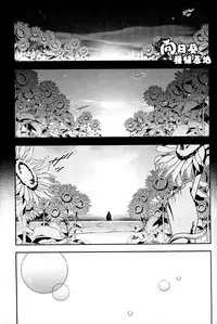 [JOJO][JC]Stelle[CN]