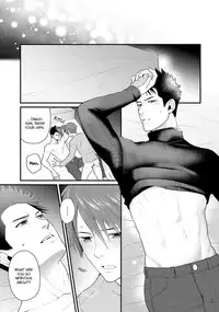 [Ryo] Shigekikei My Hero [English] {Zandy no Fansub, Rose Squad Scans}