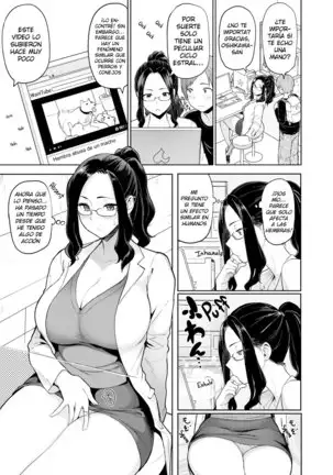 Heat Alert Virus Outbreak!