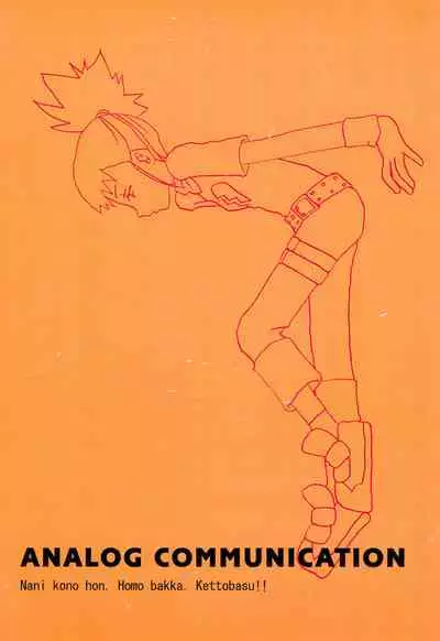 ANALOG COMMUNICATION