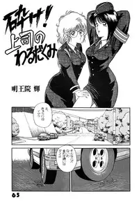 [LUNA INDUSTRIA (Various)] Han-Kan-Rin