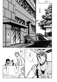 [Shibata Masahiro] Nano Sector