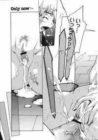 COMIC 0EX Vol. 06 2008-06