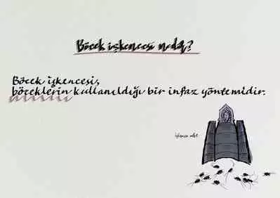 The work of the Insect Detective