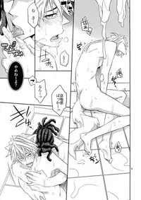 (C81) [Crazy9 (Ichitaka)] Ofuro de! Wanko TomShizu no Hon (Durarara!!)