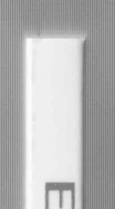 Episode of Videl NO. 1