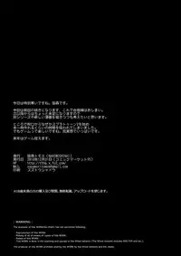 (C95) [NANIMOSHINAI (Sasamori Tomoe)] Succubus Stayed Life 9 [English] [NHNL]