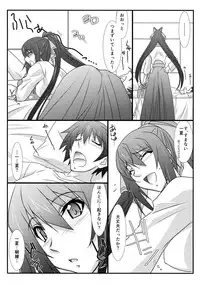 (C85) [STUDIO TRIUMPH (Mutou Keiji)] Astral Bout Ver. 27 (IS <Infinite Stratos>)