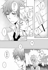 (C80) [Alpenreise (Ayano Ena)] Kiseki (Katekyo Hitman REBORN!)