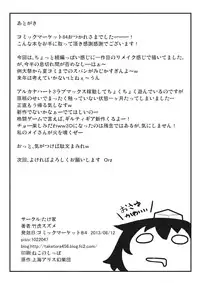 (C84) [Takeya (Taketora Suzume)] HIROUCOMPILE (Touhou Project)