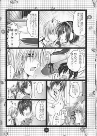 [Doppelganger Mayoineko (Kiriya Himi)] NyotaShizu! (Durarara!!)