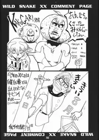 (C50) [Hoya GREAT Syoukai (Various)] WILD SNAKE XX (Neon Genesis Evangelion)