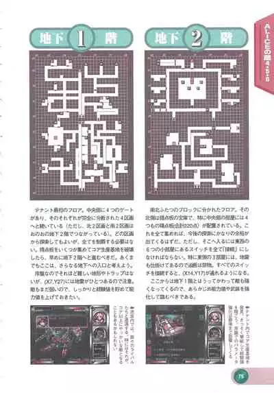 Official Alicesoft Full Completion Guide 2 (PC-CUPID)