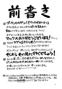 [Syamisen Koubou] RUNNERS HIGH (Magical Girl Lyrical Nanoha)