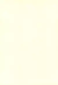 (COMIC1☆13) [Salt Peanuts (Niea)] Dearest Everybody 0.7 (Nichijou)