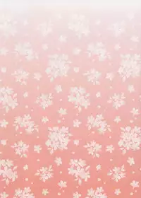 (Shuuki Reitaisai 3) [Hirojuu Renshuuchou (Hiroya)] Yousei Seikatsu (Touhou Project) [Chinese] [Kanade汉化组]