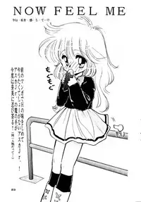 [MISTY MIDNIGHT (Shirasaka Biyu)] Seiya Saint Night (Kaitou Saint Tail)