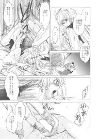 (C78) [Toko-ya (HEIZO, Kitoen)] Saint Foire Festival