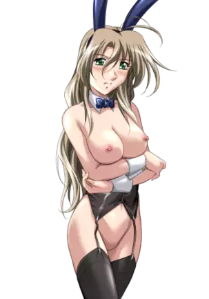 Do You Like Horny Bunnies? 2 (decensored)