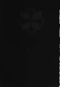 (C82) [Shimanto Seiryuu (Shimanto Youta)] Mushi Mujou (Mushibugyo)