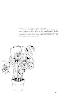 [Company N (Yoshino Shiho)] Gekka Bijin (Neon Genesis Evangelion)