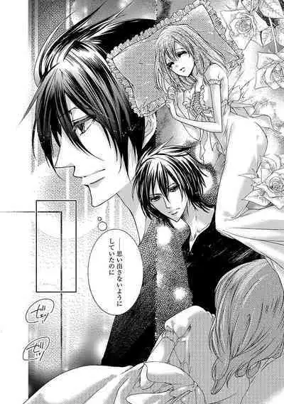 鬼畜兄弟の悶絶調教～私はいいなり奴隷～