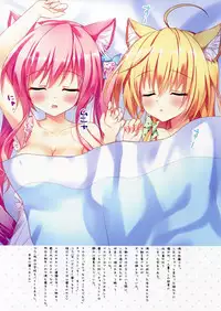 (SC60) [Ame nochi Yuki (Ameto Yuki)] NEKOMAMIRE