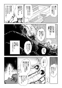 [Shibata Masahiro] Nano Sector