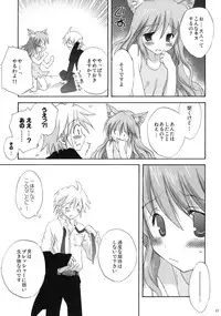 (C76) [Korisuya (Korisu)] luck-life