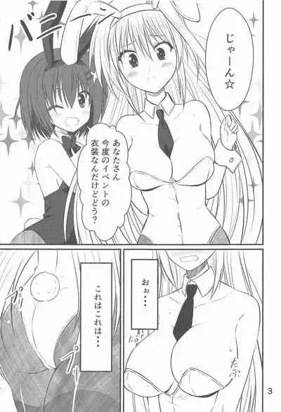 yagamidofukkokeikaku